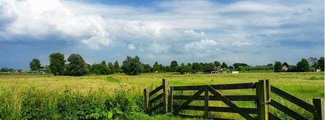 pont en bois dans campagne ciel bleu et nuages blancs