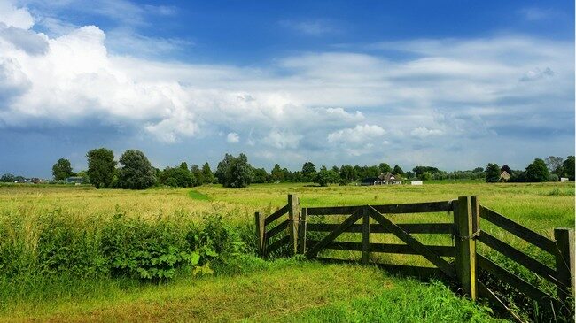 pont en bois dans campagne ciel bleu et nuages blancs