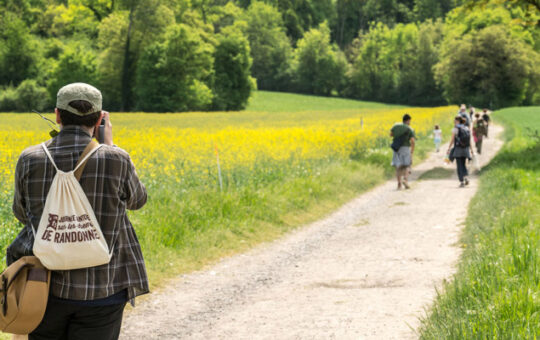 promeneurs sur route de compagne bordée de fleurs jaunes