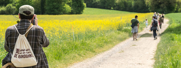 promeneurs sur route de compagne bordée de fleurs jaunes