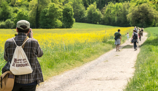 promeneurs sur route de compagne bordée de fleurs jaunes