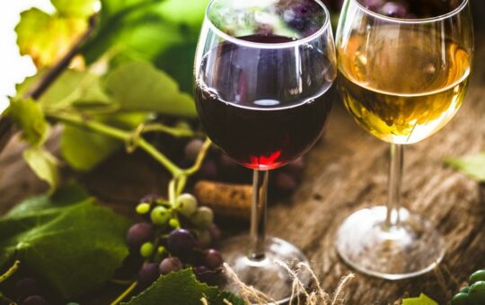 verres de vin blanc et rouge sur planche bois devant feuilles