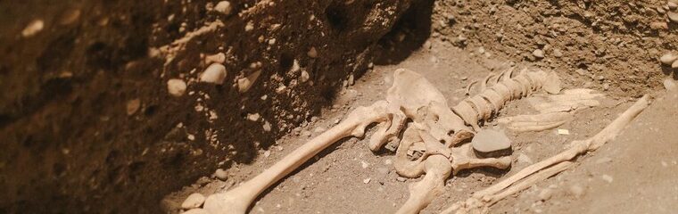 squelette sur terre dans un caveau