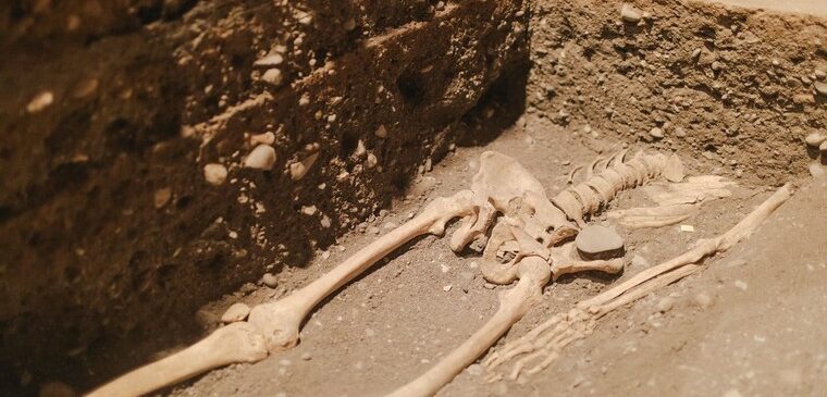 squelette sur terre dans un caveau