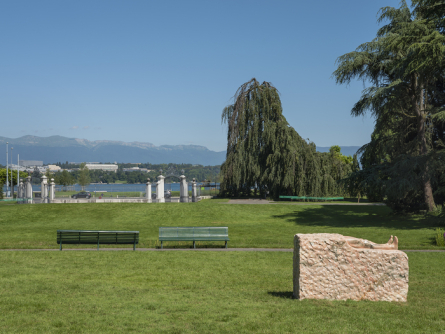 parc en herbe avec rocher sculpture et lac en fond