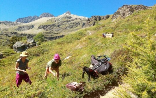 deux personnes dans un champs en montagne l'été au soleil