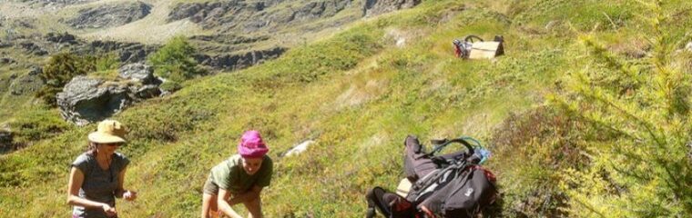 deux personnes dans un champs en montagne l'été au soleil