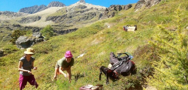 deux personnes dans un champs en montagne l'été au soleil