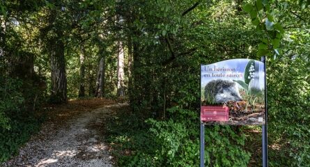 sentier en forêt avec panneau sur hérisson