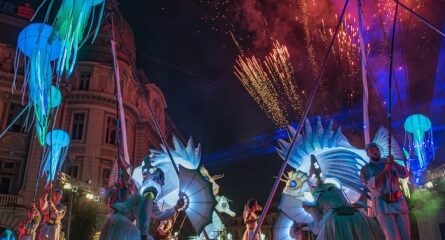 échassiers lumineux de nuit