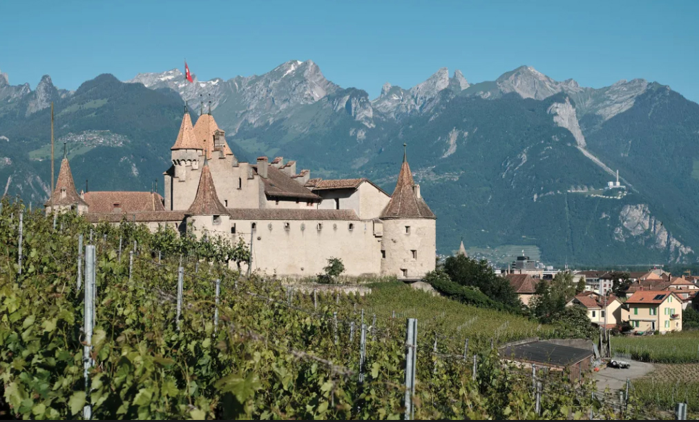 chasse aux oeufs en suisse au chateau d'aigle