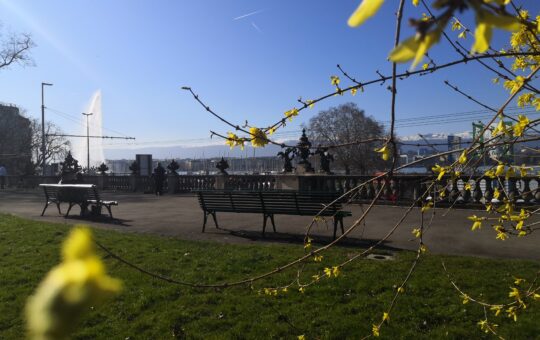 printemps à Genève à la Grange