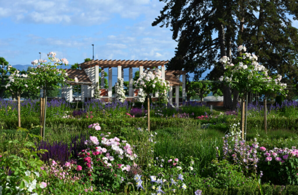 roseraie de la grange au printemps à Genève