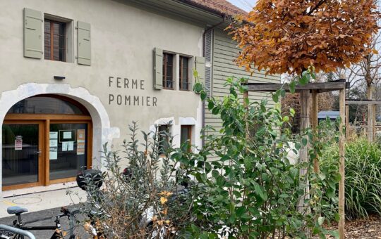 ferme pommier