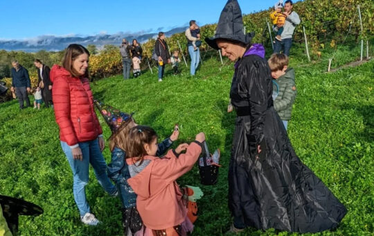 HALLOWINE DANS LES VIGNES