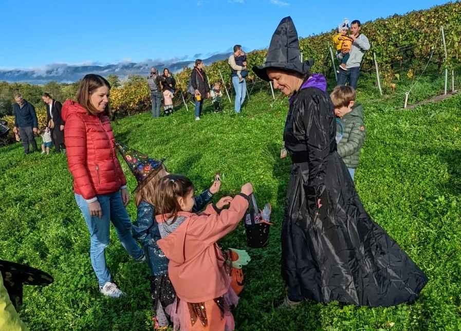 HALLOWINE DANS LES VIGNES