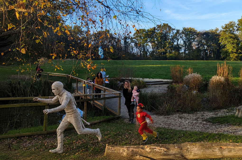 chasse à la momie genève